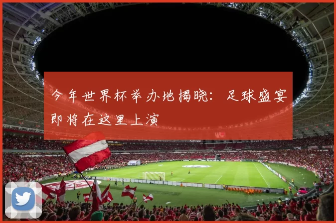 今年世界杯举办地揭晓:足球盛宴即将在这里上演