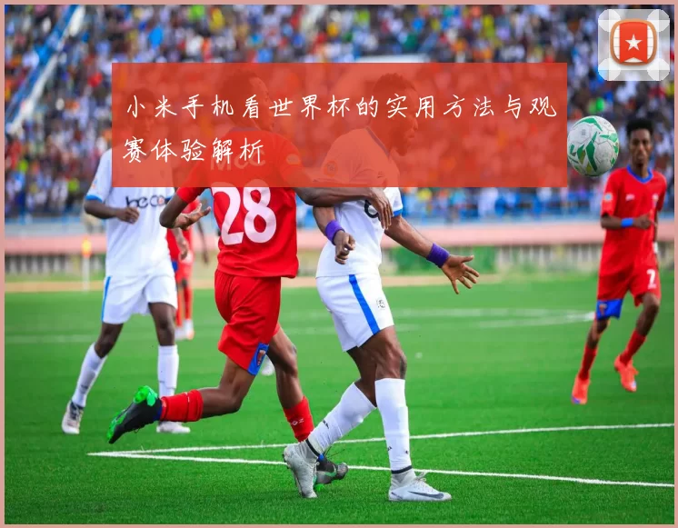 小米手机看世界杯的实用方法与观赛体验解析