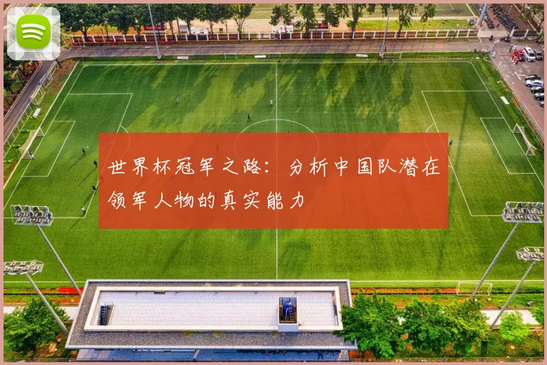 世界杯冠军之路:分析中国队潜在领军人物的真实能力
