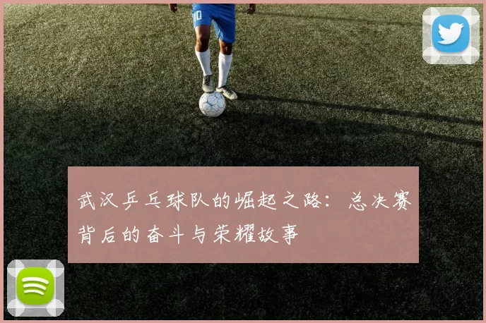 武汉乒乓球队的崛起之路:总决赛背后的奋斗与荣耀故事
