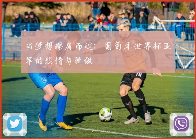 当梦想擦肩而过:葡萄牙世界杯亚军的悲情与骄傲