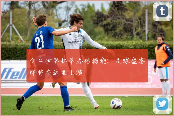 今年世界杯举办地揭晓:足球盛宴即将在这里上演