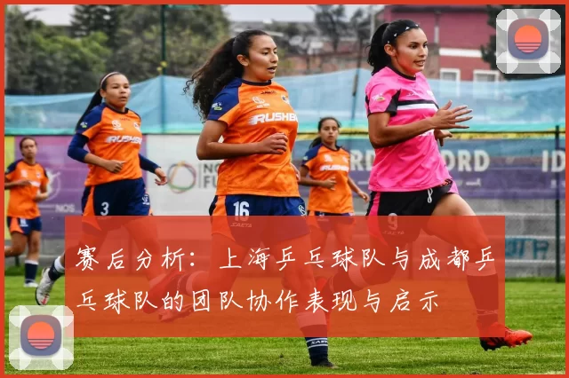 赛后分析:上海乒乓球队与成都乒乓球队的团队协作表现与启示