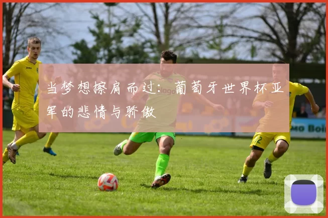 当梦想擦肩而过:葡萄牙世界杯亚军的悲情与骄傲