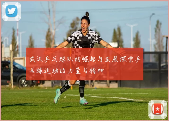 武汉乒乓球队的崛起与发展探索乒乓球运动的力量与精神