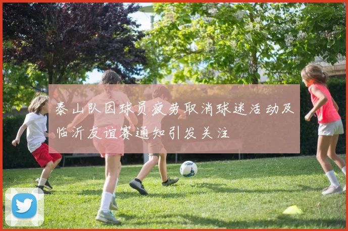 泰山队因球员疲劳取消球迷活动及临沂友谊赛通知引发关注
