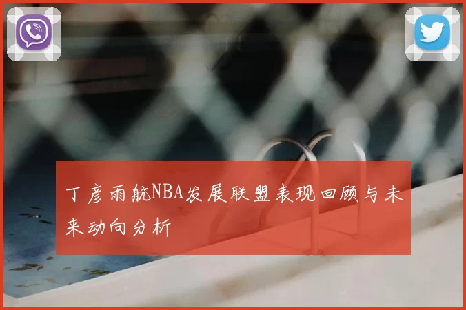 丁彦雨航NBA发展联盟表现回顾与未来动向分析