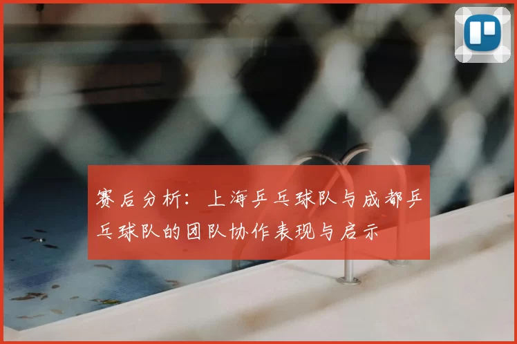 赛后分析:上海乒乓球队与成都乒乓球队的团队协作表现与启示