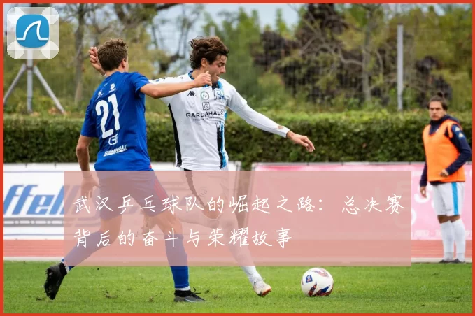 武汉乒乓球队的崛起之路:总决赛背后的奋斗与荣耀故事