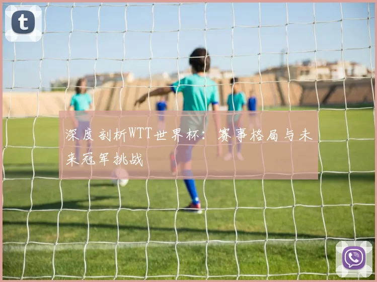 深度剖析WTT世界杯:赛事格局与未来冠军挑战